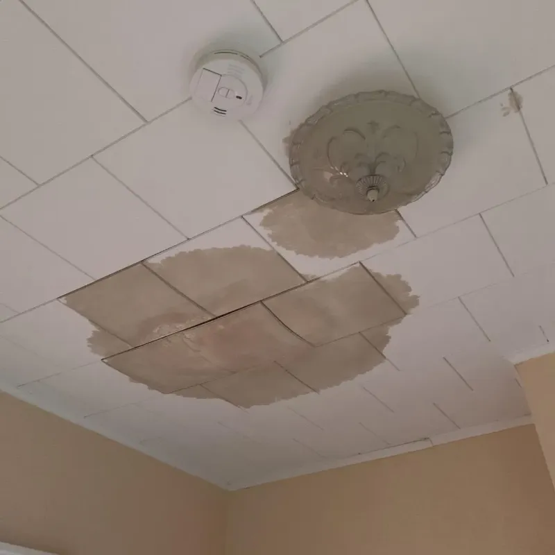 Ceiling Water Damage Repair in Elk County, PA