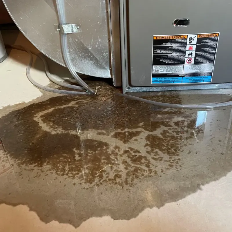 Pipe Burst and Leak Restoration in Elk County, PA
