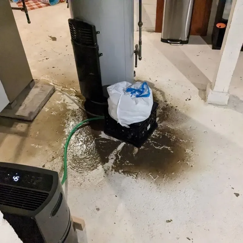 Sewage Backup Cleanup Service in Elk County, PA